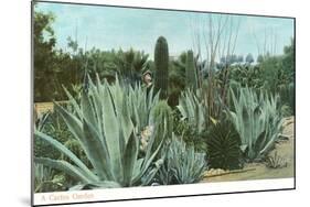 Cactus Garden with Agave-null-Mounted Art Print