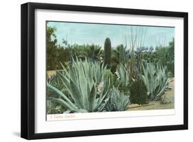 Cactus Garden with Agave-null-Framed Art Print