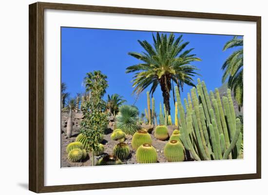 Cactus Garden-Oleg Znamenskiy-Framed Photographic Print