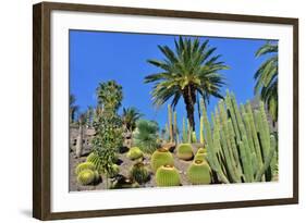 Cactus Garden-Oleg Znamenskiy-Framed Photographic Print