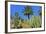 Cactus Garden-Oleg Znamenskiy-Framed Photographic Print