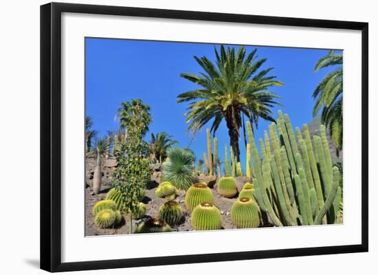 Cactus Garden-Oleg Znamenskiy-Framed Photographic Print