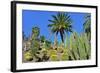 Cactus Garden-Oleg Znamenskiy-Framed Photographic Print