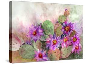 Cactus Garden-Neela Pushparaj-Stretched Canvas