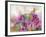 Cactus Garden-Neela Pushparaj-Framed Giclee Print