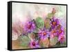 Cactus Garden-Neela Pushparaj-Framed Stretched Canvas