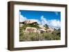 Cactus Growing on the Ayo Rock Formations, a Group of Monolithic Rock Boulders near Ayo Village in-PlusONE-Framed Photographic Print