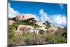 Cactus Growing on the Ayo Rock Formations, a Group of Monolithic Rock Boulders near Ayo Village in-PlusONE-Mounted Photographic Print