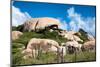 Cactus Growing on the Ayo Rock Formations, a Group of Monolithic Rock Boulders near Ayo Village in-PlusONE-Mounted Photographic Print