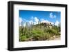 Cactus Growing on the Ayo Rock Formations, a Group of Monolithic Rock Boulders near Ayo Village in-PlusONE-Framed Photographic Print