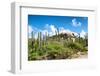 Cactus Growing on the Ayo Rock Formations, a Group of Monolithic Rock Boulders near Ayo Village in-PlusONE-Framed Photographic Print