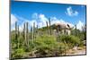 Cactus Growing on the Ayo Rock Formations, a Group of Monolithic Rock Boulders near Ayo Village in-PlusONE-Mounted Photographic Print