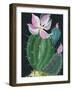 Cactus I-Kristy Rice-Framed Art Print