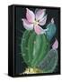 Cactus I-Kristy Rice-Framed Stretched Canvas