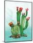Cactus II-Paul Brent-Mounted Art Print