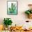 Cactus II-Paul Brent-Framed Stretched Canvas displayed on a wall