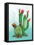 Cactus II-Paul Brent-Framed Stretched Canvas