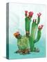 Cactus II-Paul Brent-Stretched Canvas
