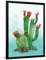 Cactus II-Paul Brent-Framed Art Print