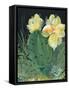 Cactus II-Kristy Rice-Framed Stretched Canvas
