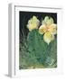 Cactus II-Kristy Rice-Framed Art Print