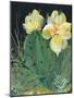 Cactus II-Kristy Rice-Mounted Art Print