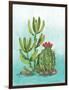 Cactus III-Paul Brent-Framed Art Print