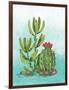 Cactus III-Paul Brent-Framed Art Print