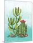 Cactus III-Paul Brent-Mounted Art Print