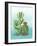 Cactus III-Paul Brent-Framed Art Print