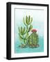 Cactus III-Paul Brent-Framed Art Print