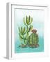 Cactus III-Paul Brent-Framed Art Print