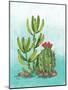 Cactus III-Paul Brent-Mounted Art Print