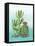 Cactus III-Paul Brent-Framed Stretched Canvas