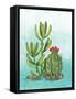 Cactus III-Paul Brent-Framed Stretched Canvas