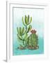 Cactus III-Paul Brent-Framed Art Print