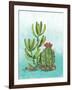 Cactus III-Paul Brent-Framed Art Print