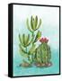 Cactus III-Paul Brent-Framed Stretched Canvas