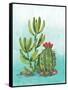 Cactus III-Paul Brent-Framed Stretched Canvas