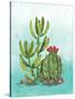 Cactus III-Paul Brent-Stretched Canvas