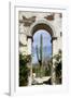 Cactus in archway of old building. Cabo San Lucas, Mexico.-Julien McRoberts-Framed Photographic Print