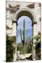 Cactus in archway of old building. Cabo San Lucas, Mexico.-Julien McRoberts-Mounted Photographic Print