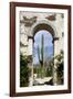 Cactus in archway of old building. Cabo San Lucas, Mexico.-Julien McRoberts-Framed Photographic Print