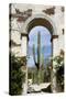 Cactus in archway of old building. Cabo San Lucas, Mexico.-Julien McRoberts-Stretched Canvas