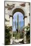 Cactus in archway of old building. Cabo San Lucas, Mexico.-Julien McRoberts-Mounted Photographic Print