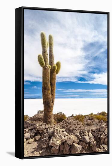 Cactus in Salar De Uyuni-Rigamondis-Framed Stretched Canvas