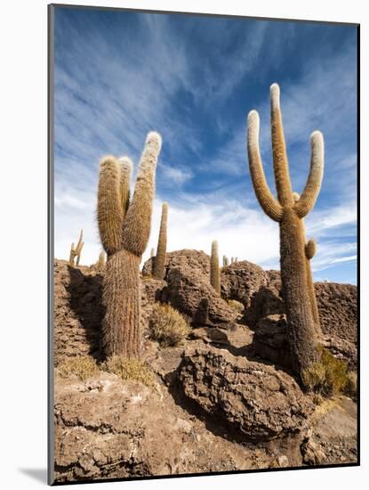 Cactus in Salar De Uyuni-Rigamondis-Mounted Photographic Print