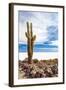 Cactus in Salar De Uyuni-Rigamondis-Framed Photographic Print