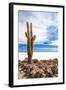 Cactus in Salar De Uyuni-Rigamondis-Framed Photographic Print