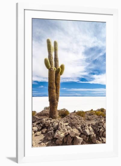 Cactus in Salar De Uyuni-Rigamondis-Framed Photographic Print